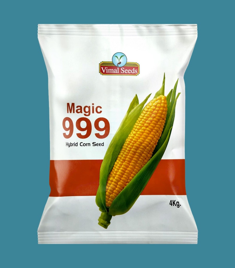Magic 999 Hybrid Corn Seed Pack