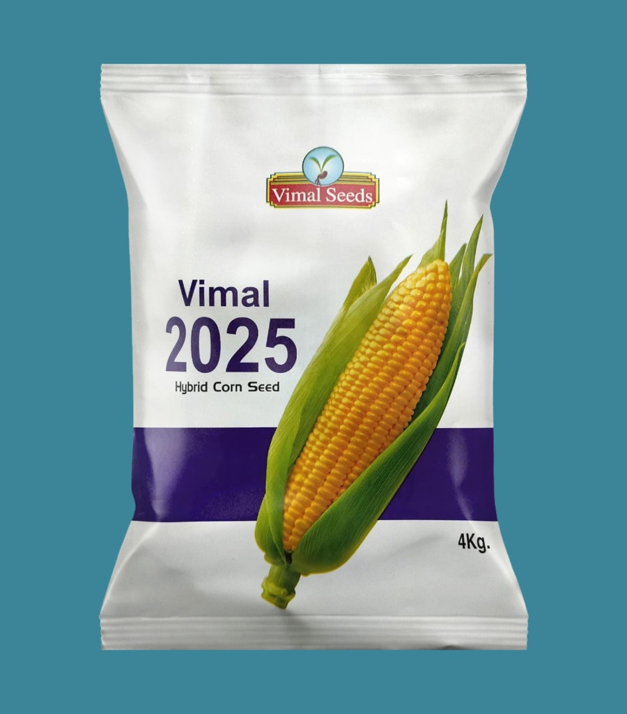 Vimal 2025 Hybrid Corn Seed Pack