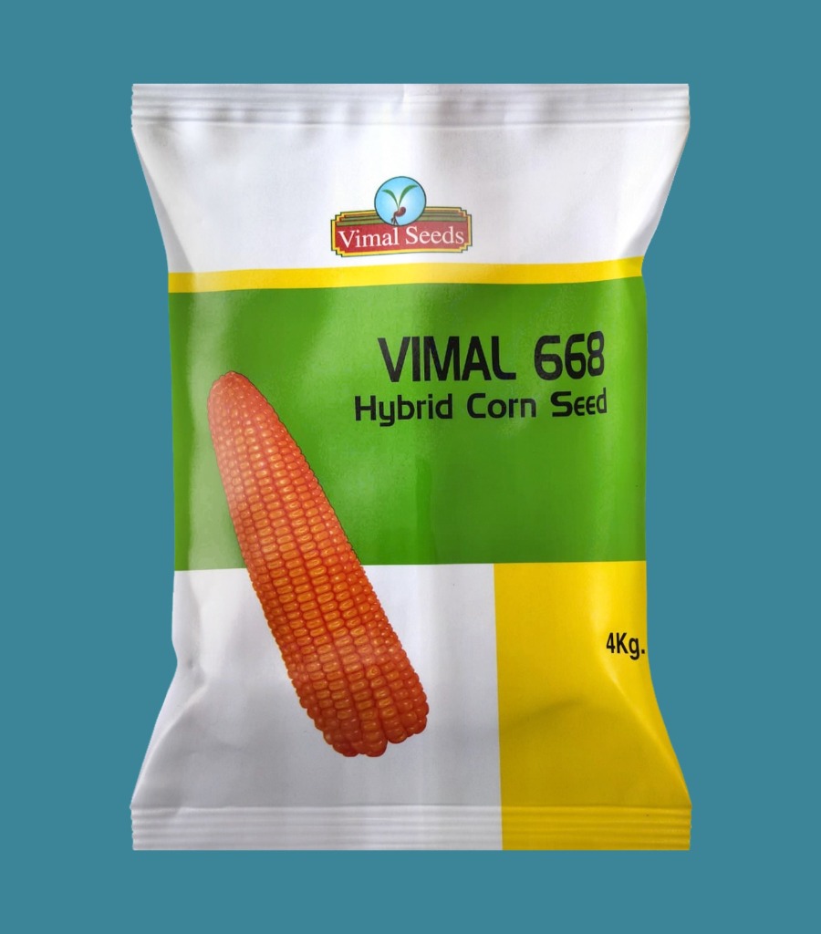 Vimal 668 Hybrid Corn Seed Pack